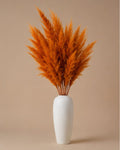 Pampas Grass - Orange