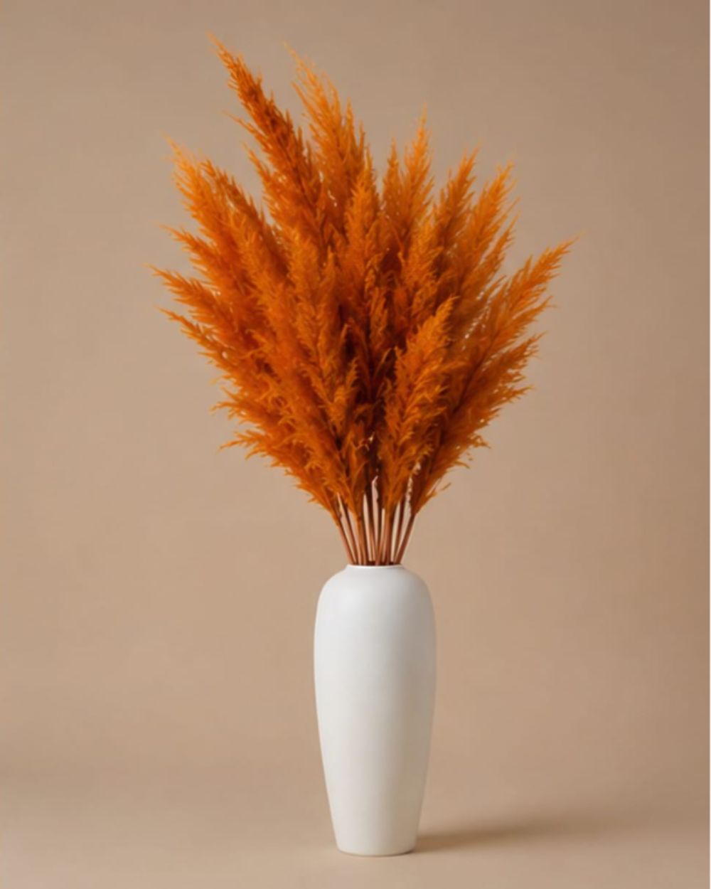 Pampas Grass - Orange