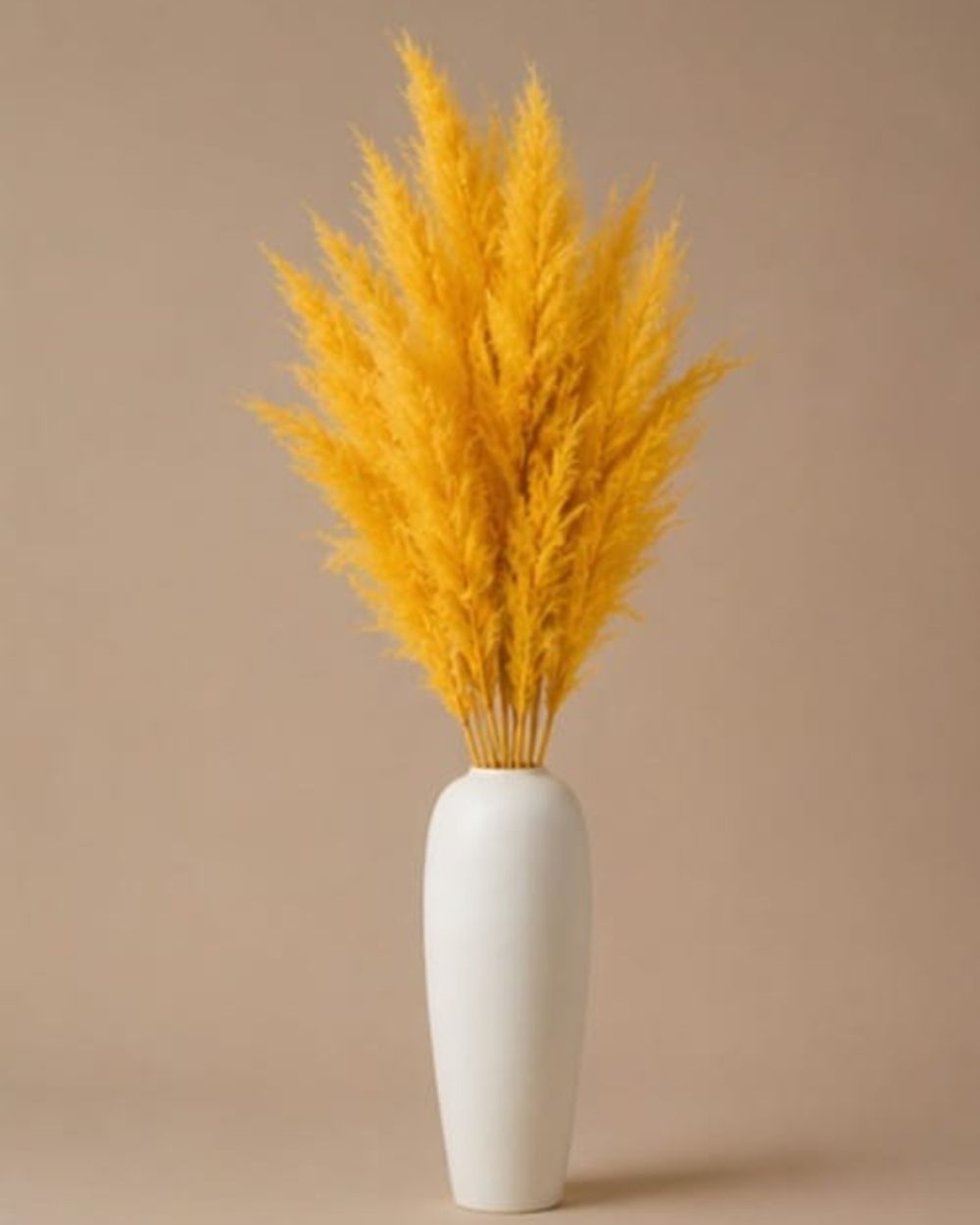 Pampas Grass - Yellow