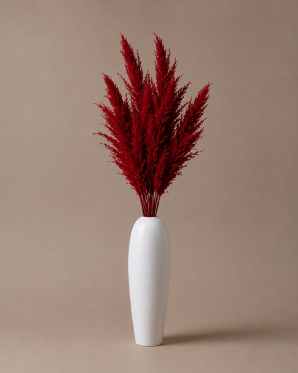 Pampas Grass - Red