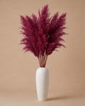 Pampas Grass - Pink