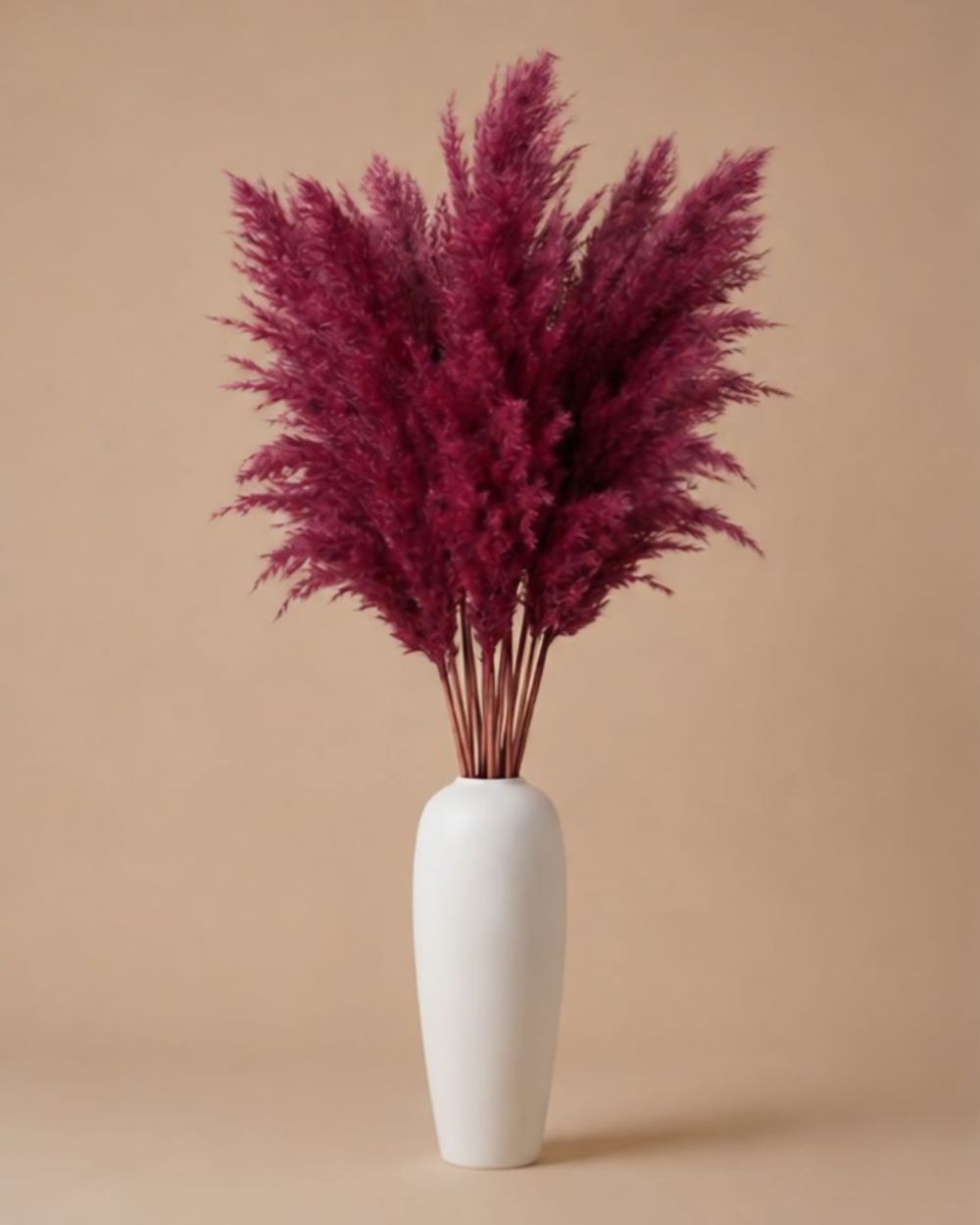 Pampas Grass - Pink