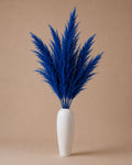 Pampas Grass - Blue