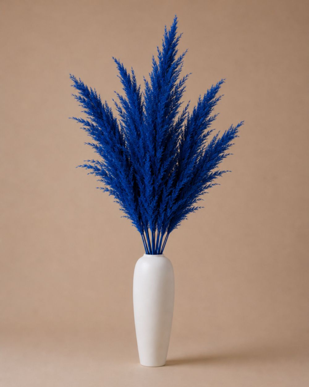 Pampas Grass - Blue