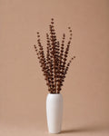 Palam Grass - Natural