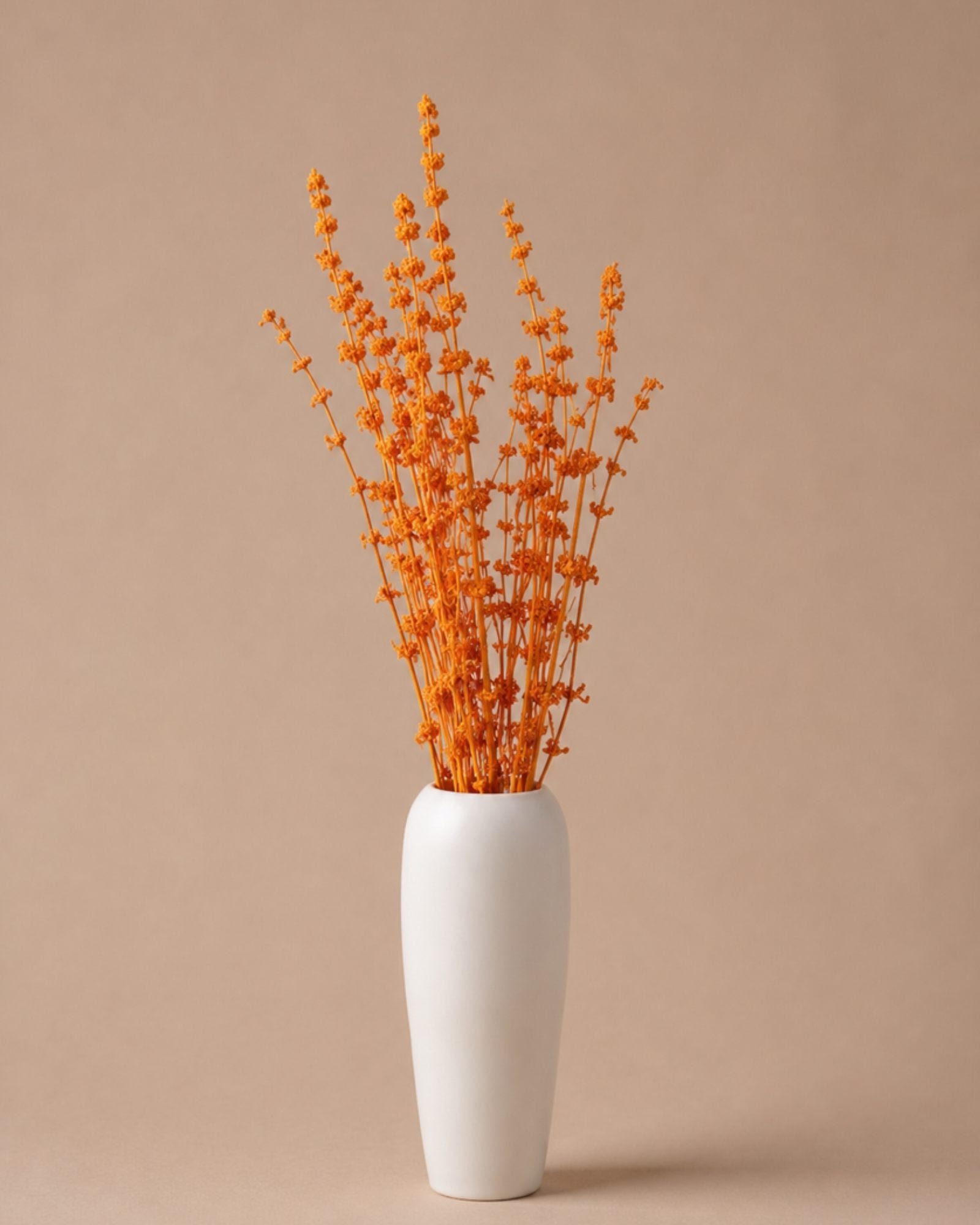 Palam Grass - Orange