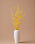 Palam Grass - Yellow