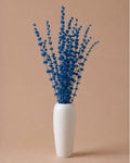 Palam Grass - Blue