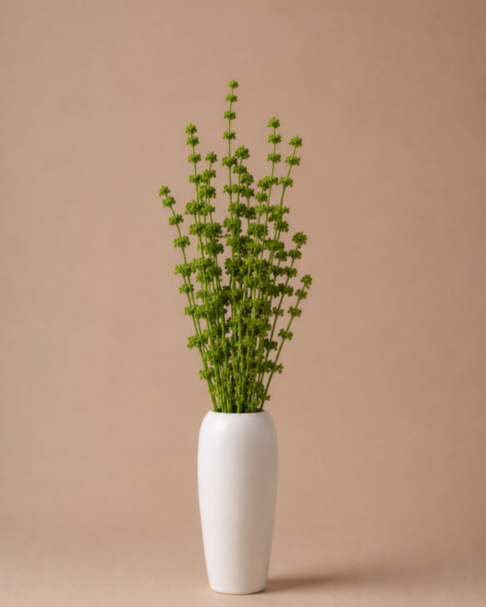 Palam Grass - Green
