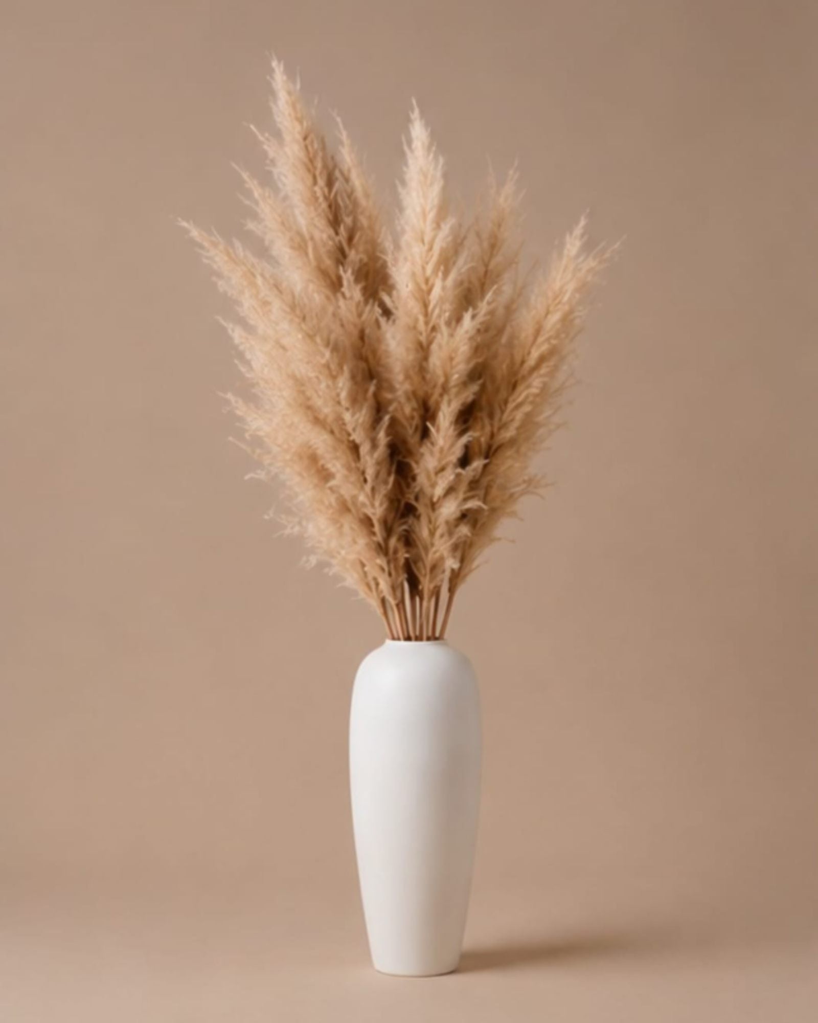 Pampas Grass - Natural