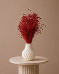 Lino Grass - Red
