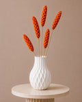 Strobus - Orange