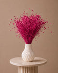 Lino Grass - Pink