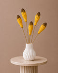 Mahogany - Yellow