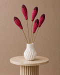 Mahogany - Pink