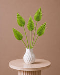 Palm Spear - Green
