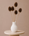 Pine Cone - Natural