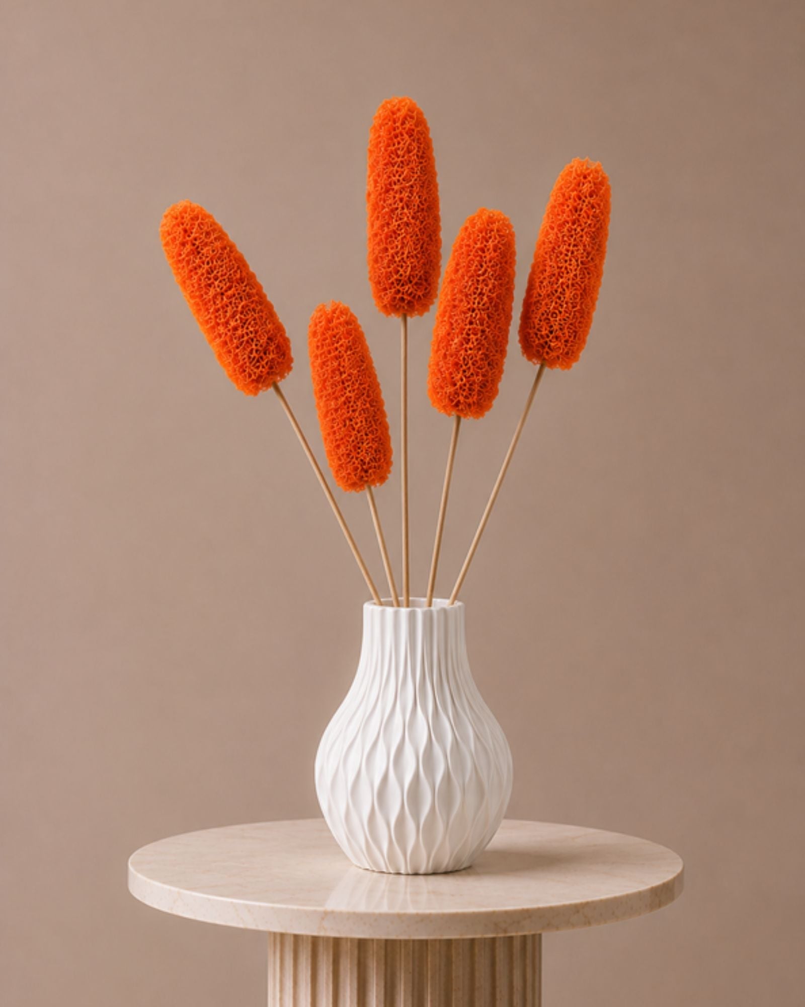 Luffa - Orange