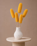 Luffa - Yellow