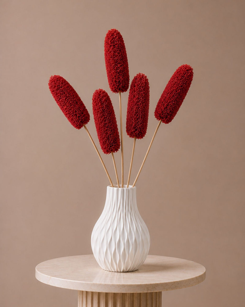 Luffa - Red