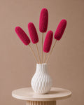 Luffa - Pink