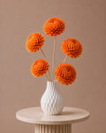 Shola Belly - Orange