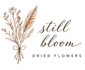 Still Bloom - Home